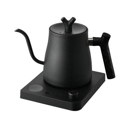 FlowTemp Precision Electric Kettle